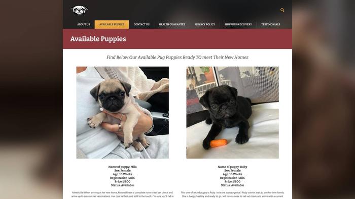 Loyalpugpuppies.com - Pug Puppy Scam Review