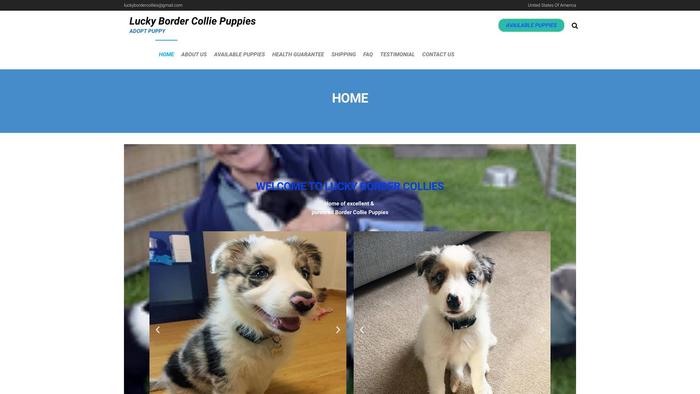 Luckybordercollies.com - Bordercollie Puppy Scam Review