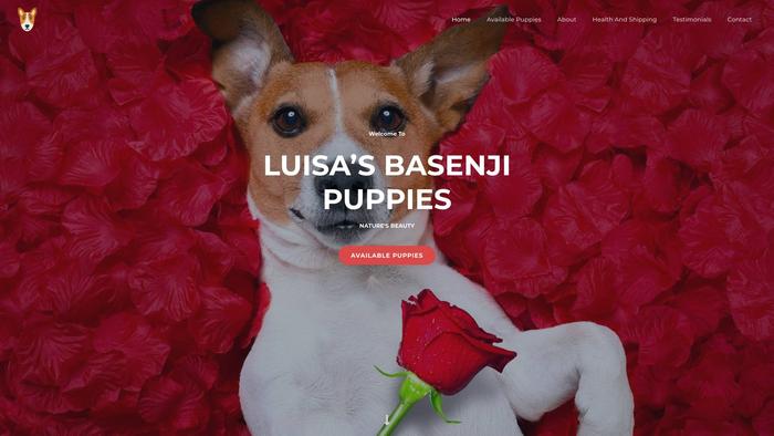 Luisasbasenjipuppies.com - Basenji Puppy Scam Review