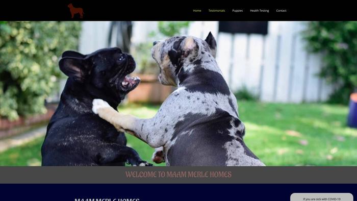 Maammerlepitbull.com - Pit Bull Puppy Scam Review