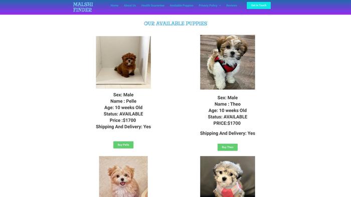 Malshifinder.com - Maltese Puppy Scam Review