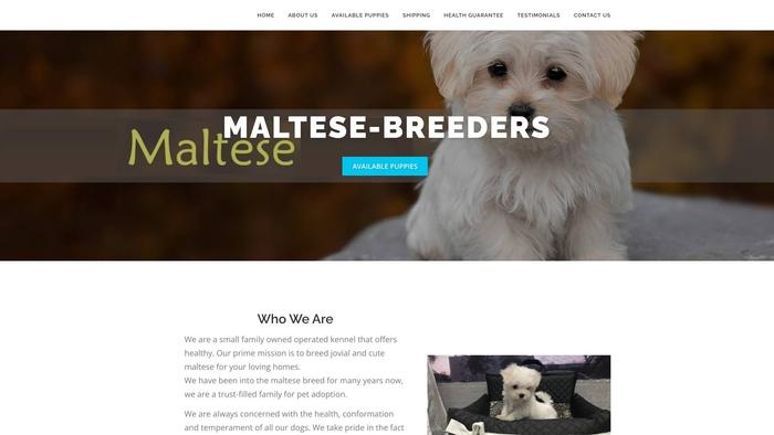 Maltese-breeders.com - Maltese Puppy Scam Review