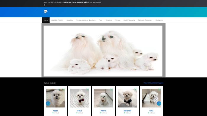 Malteseglamour.site - Maltese Puppy Scam Review