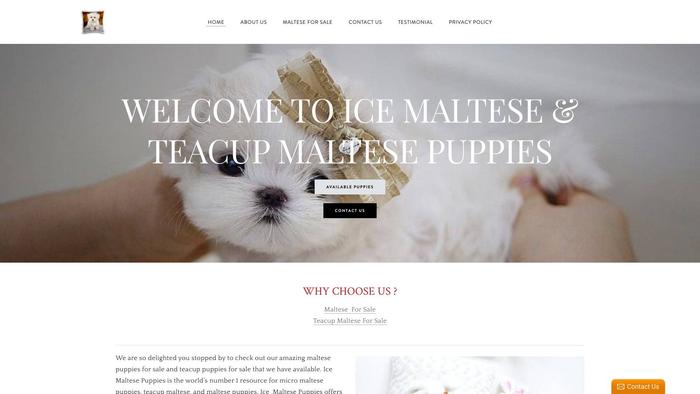 Maltesepuppies4sale.net - Maltese Puppy Scam Review