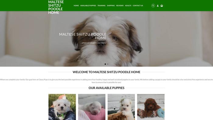 Malteseshitzupoodlehome.com - Maltese Puppy Scam Review