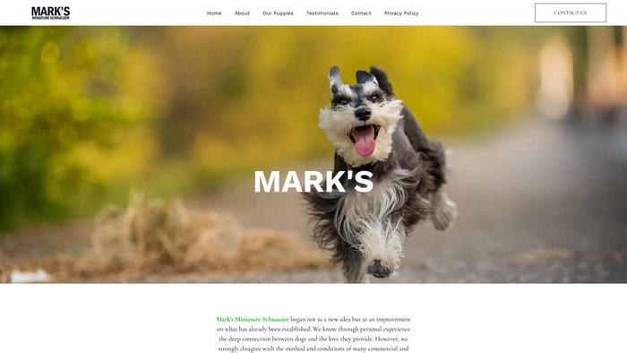 Marksminiatureschnauzers.com - Schnauzer Puppy Scam Review