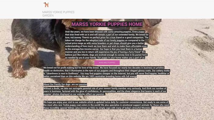 Marssyorkiegardens.com - Yorkshire Terrier Puppy Scam Review