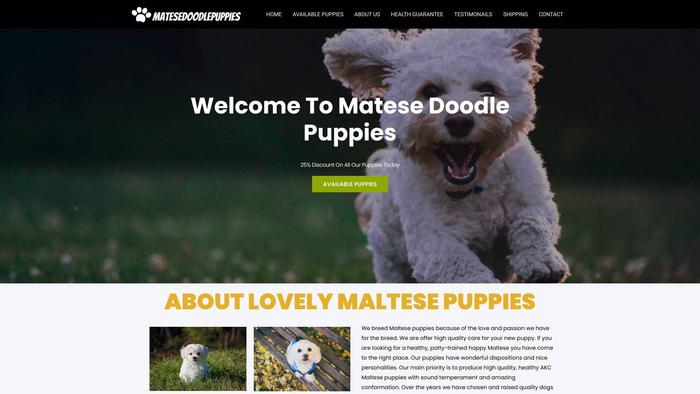 Matesedoodlepuppies.com - Maltese Puppy Scam Review