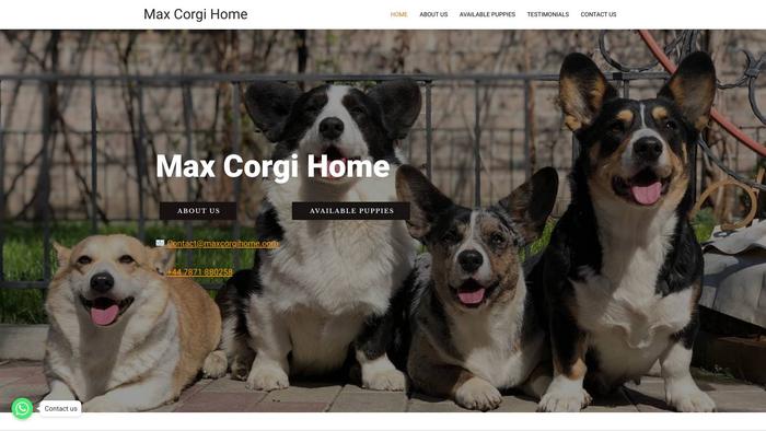 Maxcorgihome.com - Corgi Puppy Scam Review