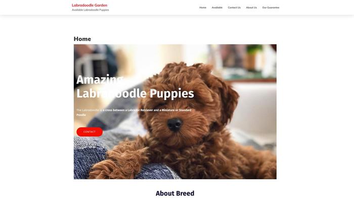 Maxlabpupshome.com - Labradoodle Puppy Scam Review