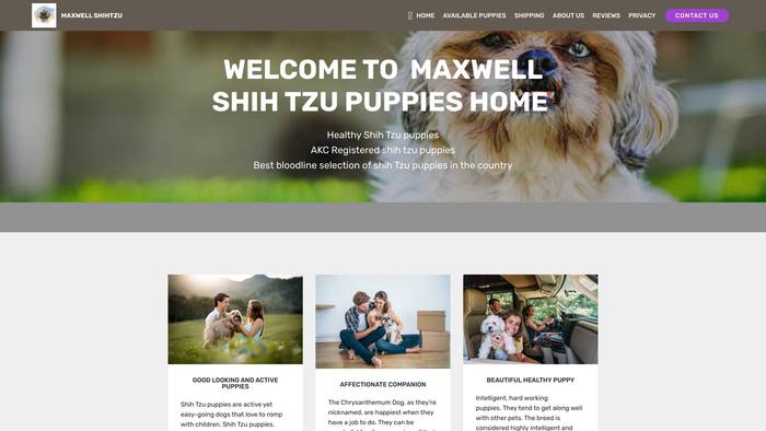 Maxwellshihtzupuppieshome.com - Shihtzu Puppy Scam Review