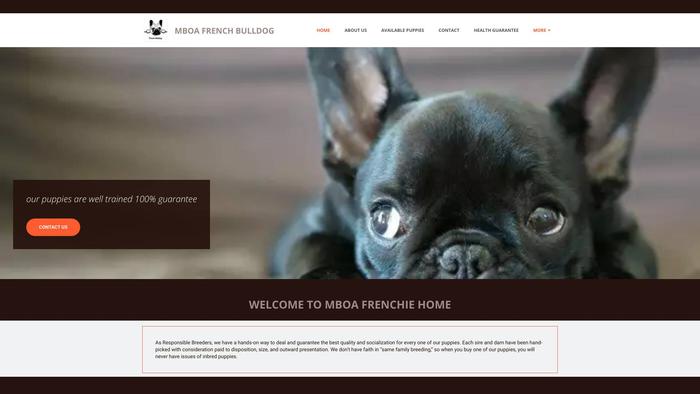 Mboafrenchiepuppies.com - French Bulldog Puppy Scam Review