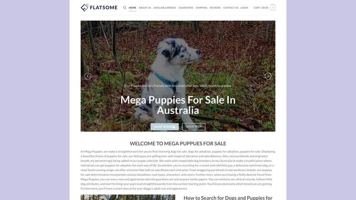 Megapuppiesforsale.com - Australian Shepherd Puppy Scam Review