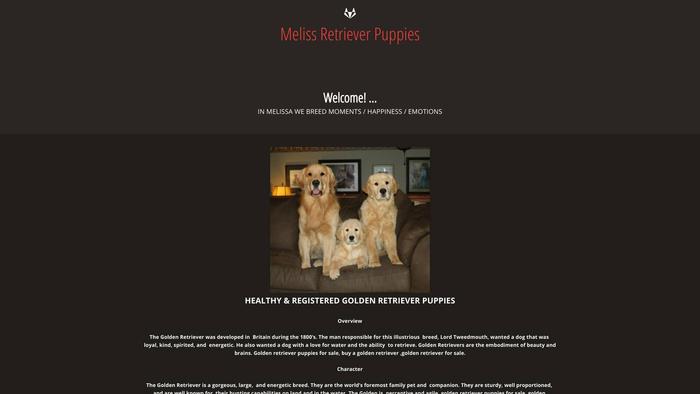 Melisspuppies.com - Golden Retriever Puppy Scam Review