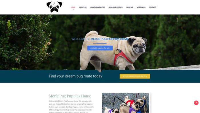 Merlepugpuppieshome.com - Pug Puppy Scam Review