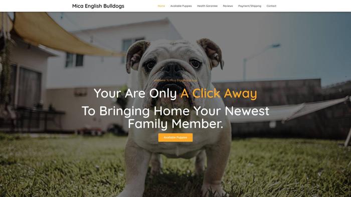 Micaenglishbulldogs.com - English Bulldog Puppy Scam Review