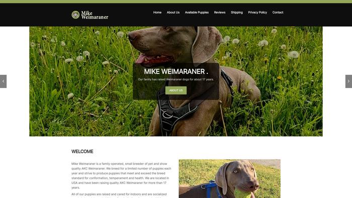 Mikeweimaraner.com - Weimaraner Puppy Scam Review