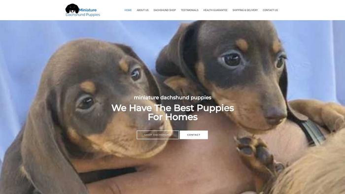 Miniaturedachshundpup.com - Dachshund Puppy Scam Review