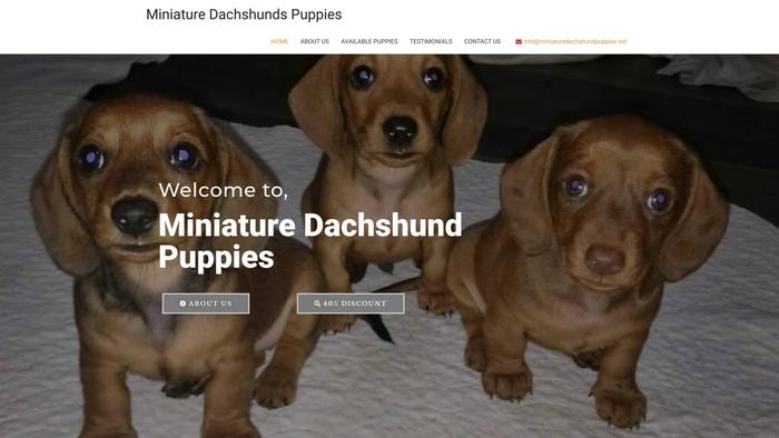 Miniaturedachshundpuppies.net - Dachshund Puppy Scam Review