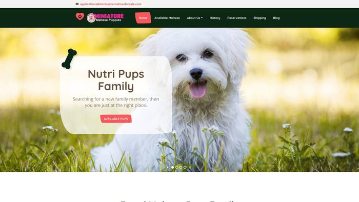 Miniaturemalteseforsale.com - Maltese Puppy Scam Review