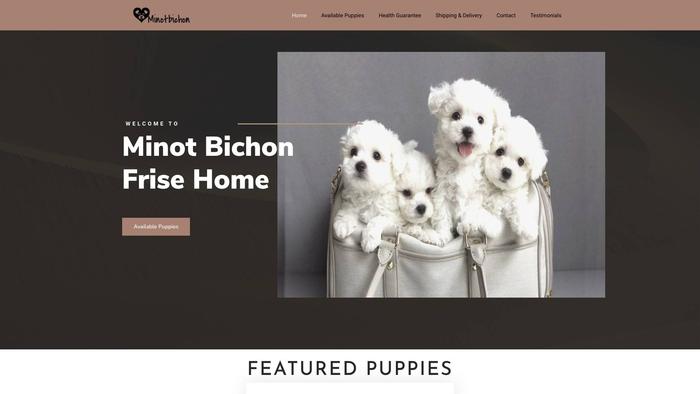 Minotbichonfrisehome.com - Bichon Frise Puppy Scam Review