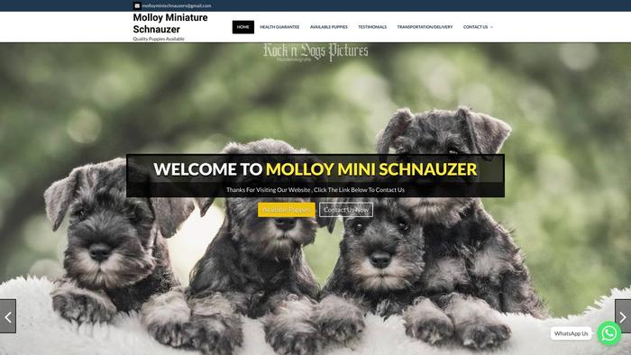 Molloyminischnauzers.com - Schnauzer Puppy Scam Review