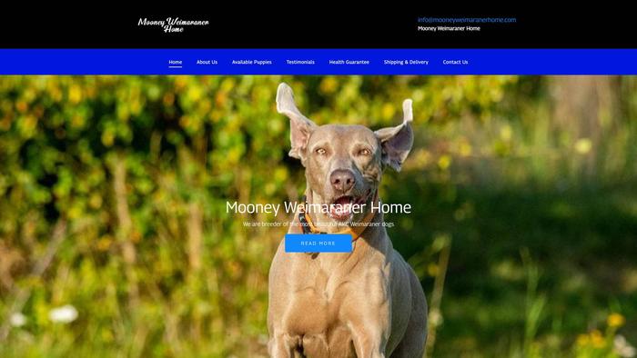 Mooneyweimaranerhome.com - Weimaraner Puppy Scam Review