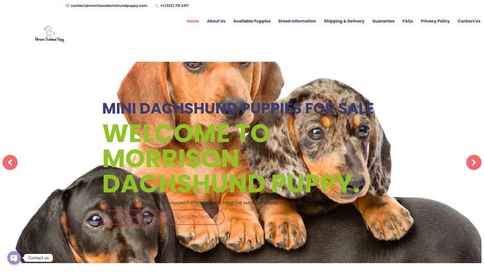 Morrisondachshundpuppy.com - Dachshund Puppy Scam Review