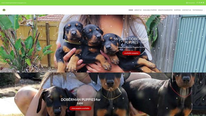 Mrjamesdobermanpuppies.com - Doberman Pinscher Puppy Scam Review