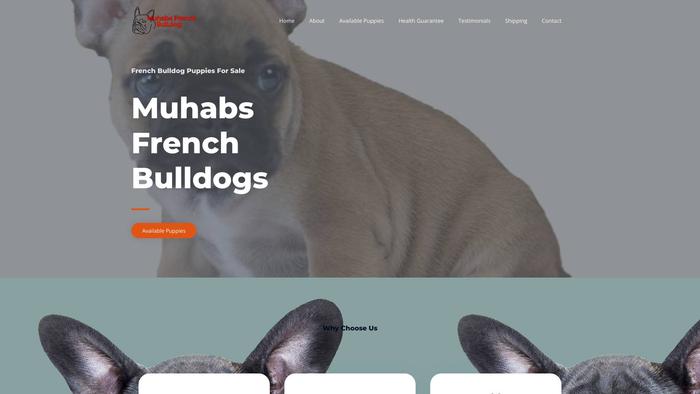 Muhabsfrenchbulldogs.com - French Bulldog Puppy Scam Review