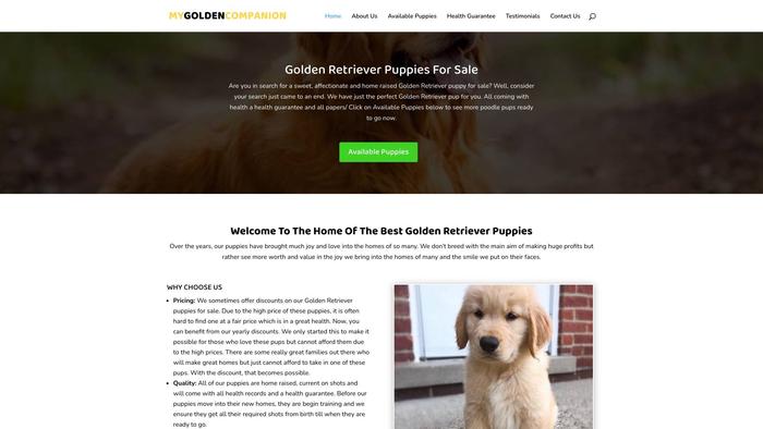 Mygoldencompanion.com - Golden Retriever Puppy Scam Review