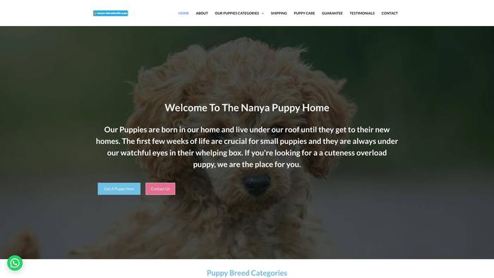 Nanyalabradoodles.com - Labradoodle Puppy Scam Review