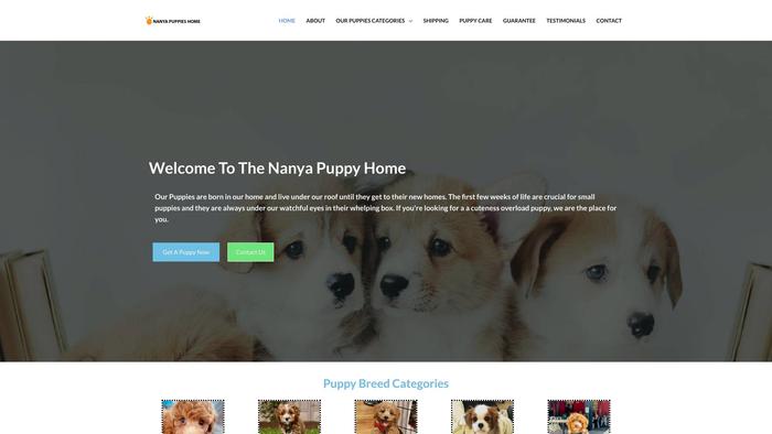 Nanyapuppieshome.com - Cavapoo Puppy Scam Review