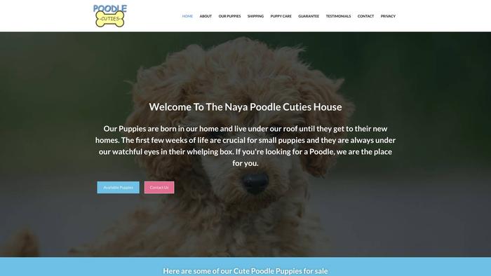 Nayapoodlecuties.com - Poodle Puppy Scam Review