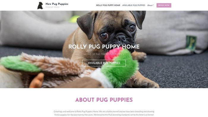 Newpugpuppies.com - Pug Puppy Scam Review