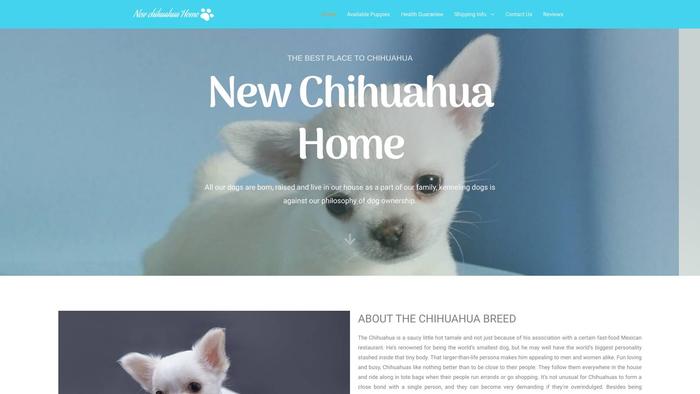 Newtchihuahuahomes.com - Chihuahua Puppy Scam Review