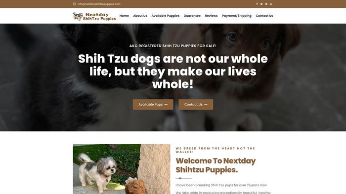 Nextdayshihtzupuppies.com - Shihtzu Puppy Scam Review