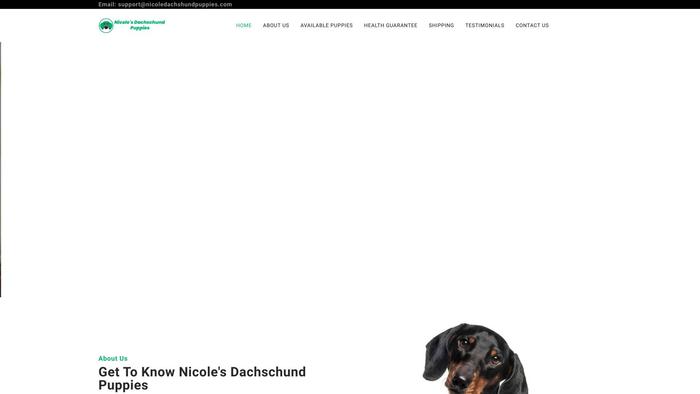 Nicoledachshundpuppies.com - Dachshund Puppy Scam Review