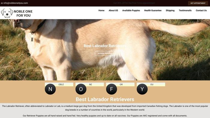 Nobleone4you.com - Golden Retriever Puppy Scam Review