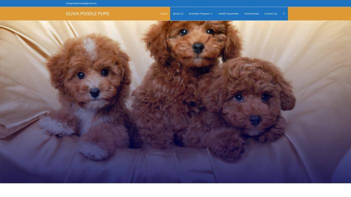 Oliviapoodlespup.com - Poodle Puppy Scam Review