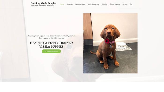 Onestopvizslapuppies.com - Labrador Puppy Scam Review