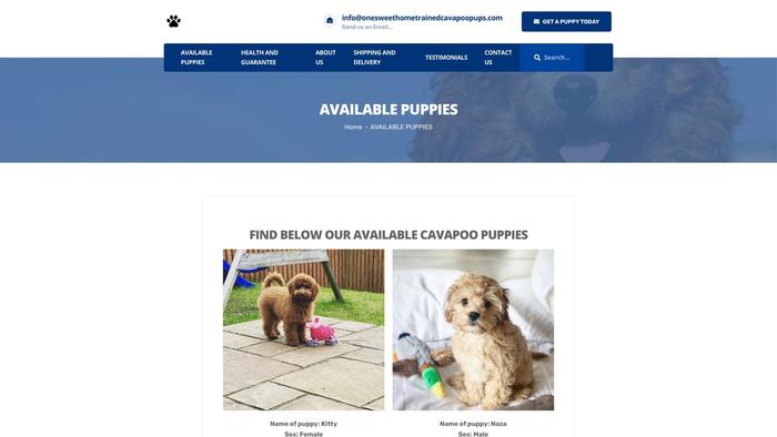 Onesweethometrainedcavapoopups.com - Cavapoo Puppy Scam Review