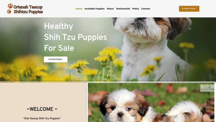 Orianahteacupshihtzupuppies.com - Shihtzu Puppy Scam Review