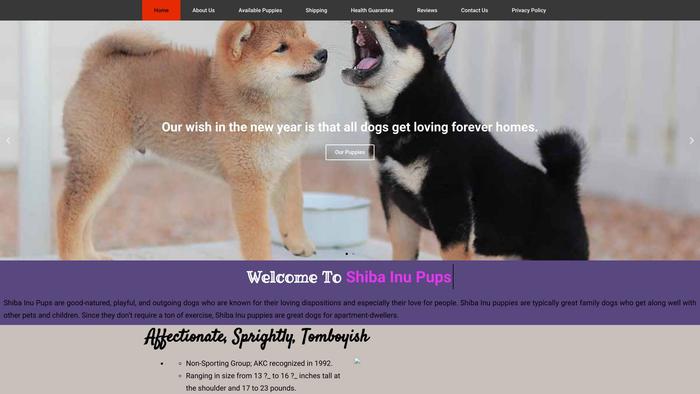 Outstandingshibainupuppies.com - Shibhainu Puppy Scam Review