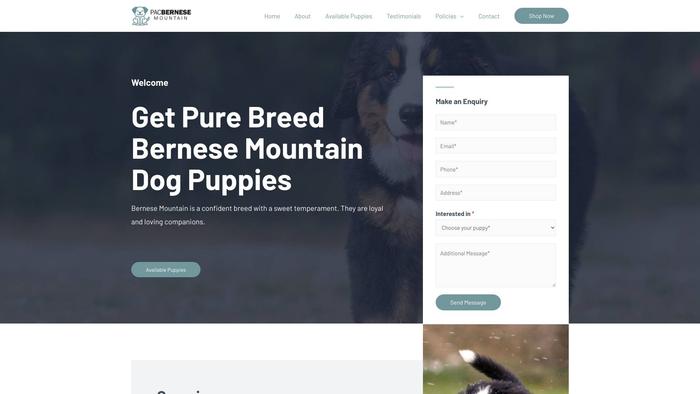 Pacbernesemountain.com - Bernese Mountain Dog Puppy Scam Review