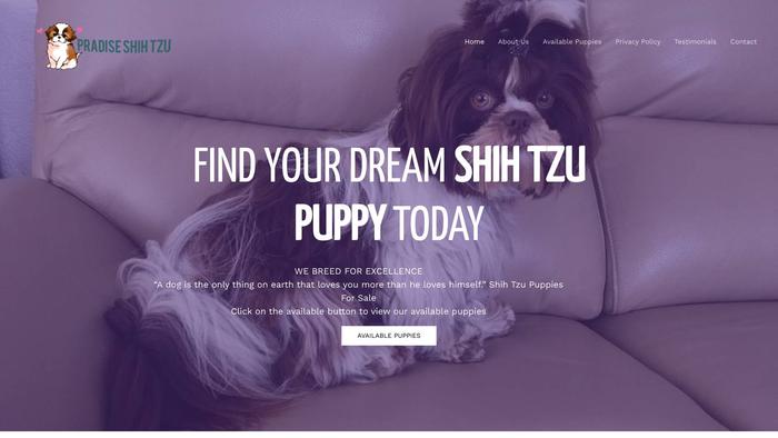 Paradiseshihtzupoppy.us - Shihtzu Puppy Scam Review