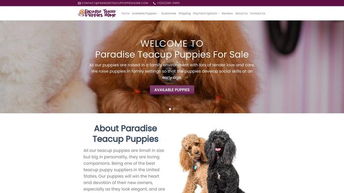 Paradiseteacuppuppieshome.com - Yorkshire Terrier Puppy Scam Review