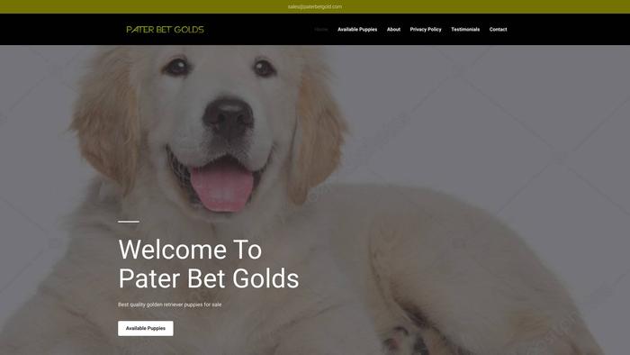 Paterbetgold.com - Golden Retriever Puppy Scam Review