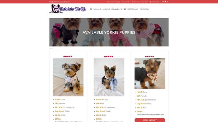 Patriciasteacupyorkies.com - Yorkshire Terrier Puppy Scam Review