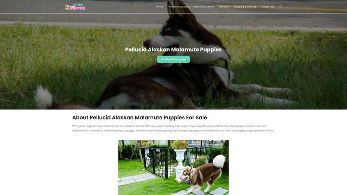 Pellucidalaskanmalamutepuppies.com - Malamute Puppy Scam Review